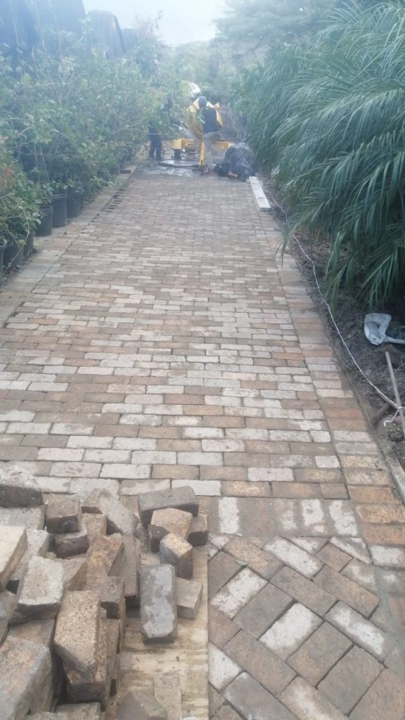 Long brick paved pathway in Cape Town